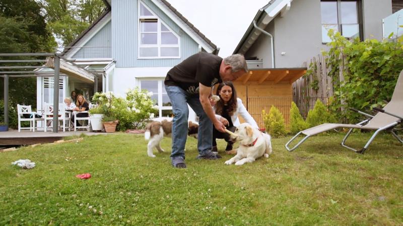 Bekommt Domingo Stress mit dem Nachbarshund?
