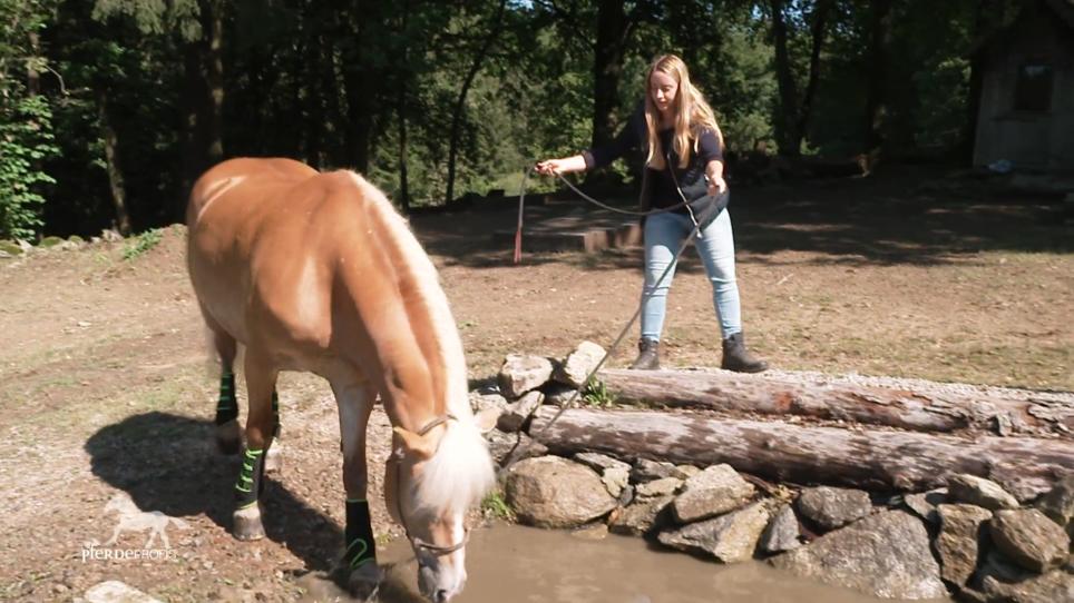 Kann auch Lena Bibi überzeugen durchs Wasser zu gehen? Kann auch Lena Bibi überzeugen durchs Wasser zu gehen?