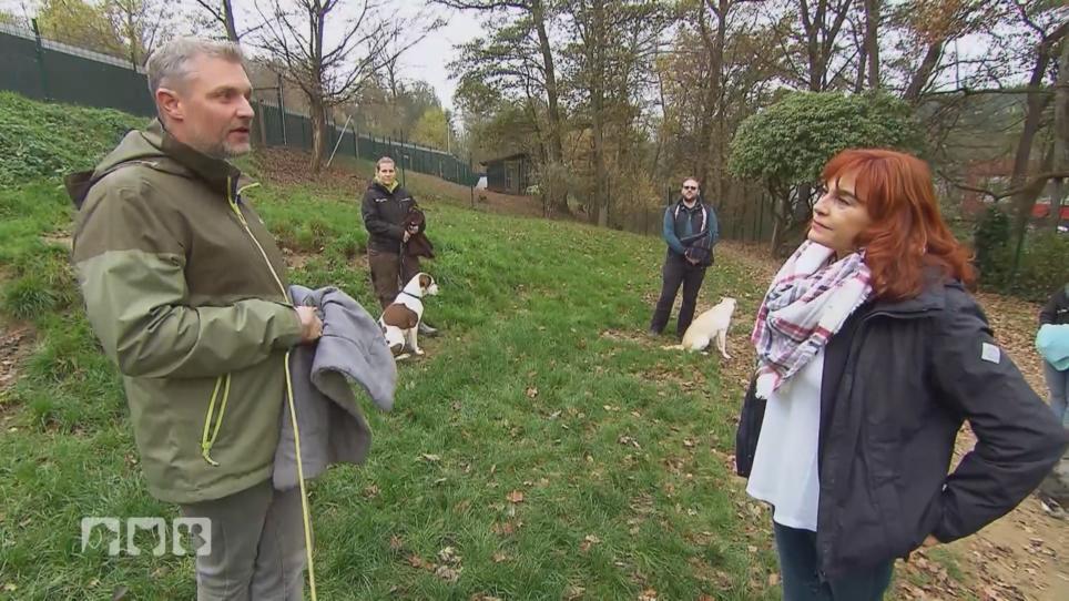 Tierischer Traumberuf: Hundetrainer Tierischer Traumberuf: Hundetrainer