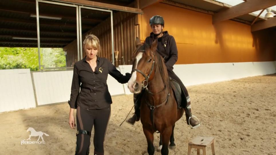 Heute wird Nele das Reiten übernehmen Heute wird Nele das Reiten übernehmen