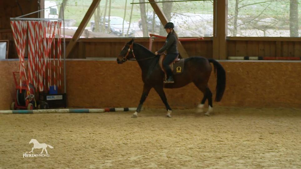 Das entspannte Reiten kennt Lisa noch nicht Das entspannte Reiten kennt Lisa noch nicht
