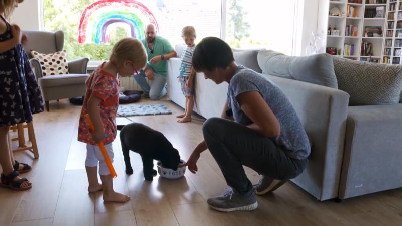 Welpe Blue ist Unterhaltung für die ganze Familie