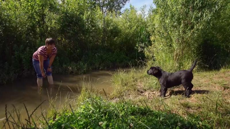 Wird Blue sich in den Bach trauen?