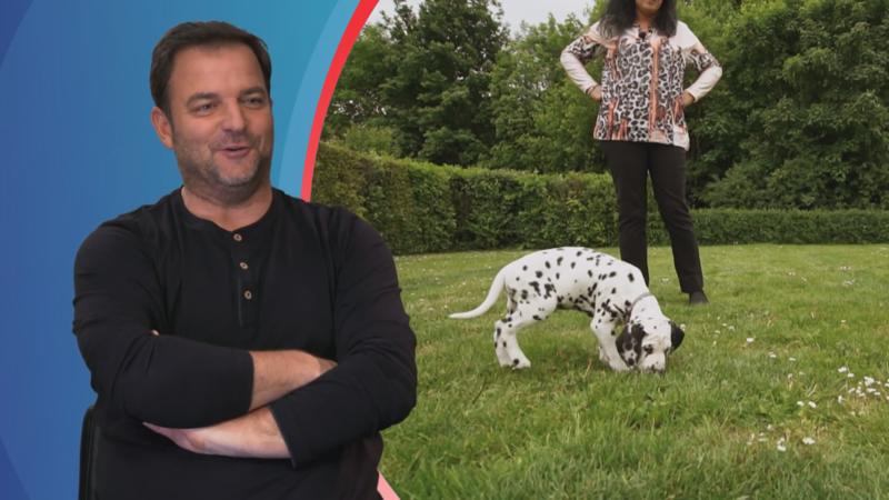 Bei „Martin Rütter – Die Welpen kommen“ geht's wieder rund