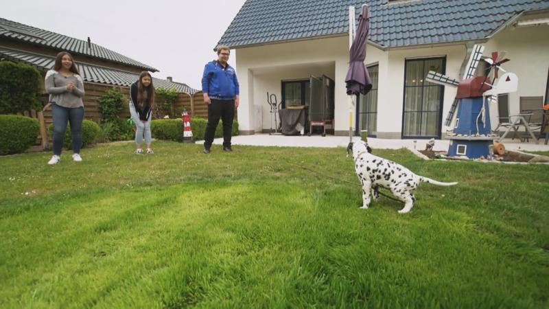 Tierischer Nachwuchs nach einem schmerzhaften Verlust