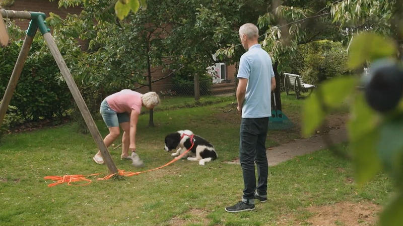 Familie Spendel bekommt Hilfe vom Hundetrainer