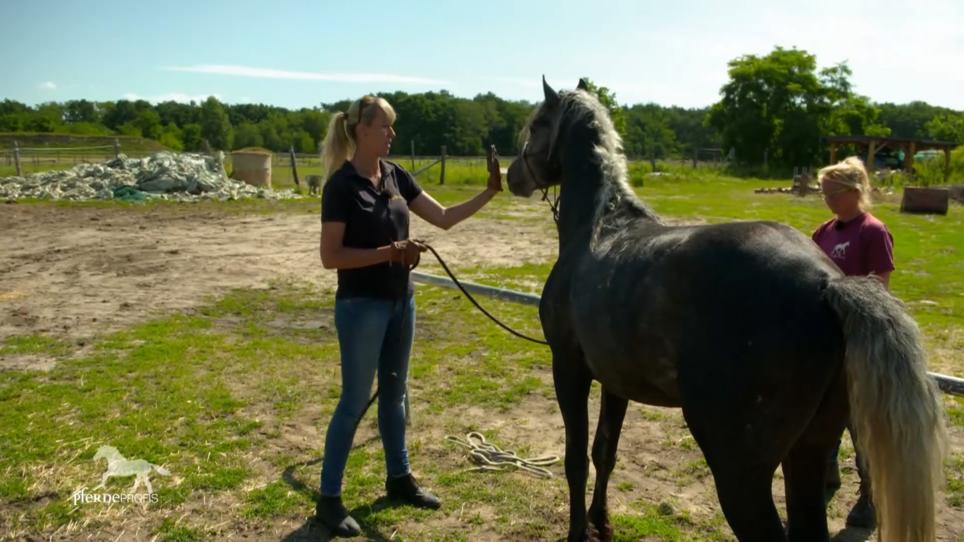 Katja muss bei Gandalf Überlegenheit zeigen Katja muss bei Gandalf Überlegenheit zeigen