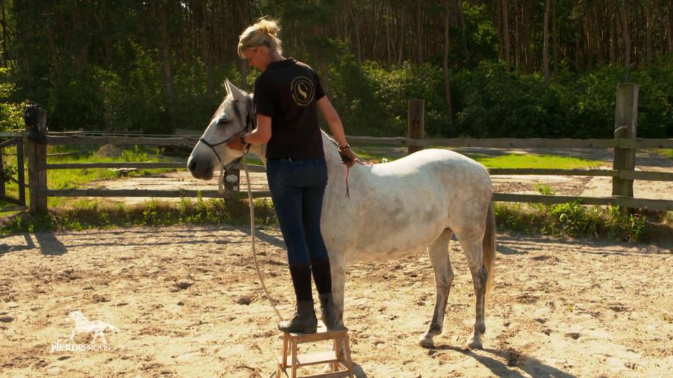 Lässt Layla Katja aufsteigen? Lässt Layla Katja aufsteigen?
