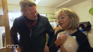 Kaninchen-Liebhaberin besitzt 84 Teddyzwergkaninchen Kaninchen-Liebhaberin besitzt 84 Teddyzwergkaninchen