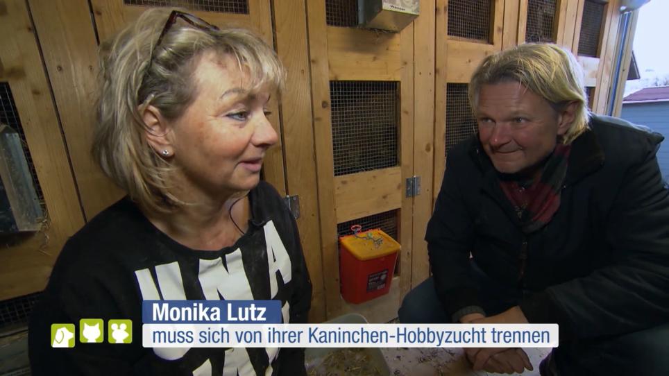 Die ersten 22 Kaninchen verlassen die Zucht Die ersten 22 Kaninchen verlassen die Zucht