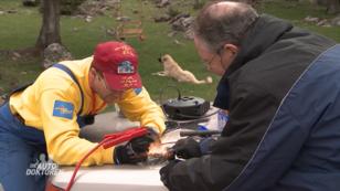 Kann die Rallye ohne Gefahr beendet werden? Kann die Rallye ohne Gefahr beendet werden?