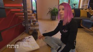 Das macht einen Katzensitter*in aus Das macht einen Katzensitter*in aus