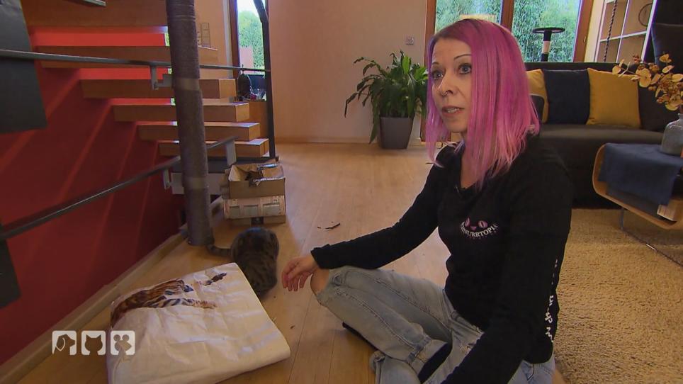 Das macht einen Katzensitter*in aus Das macht einen Katzensitter*in aus