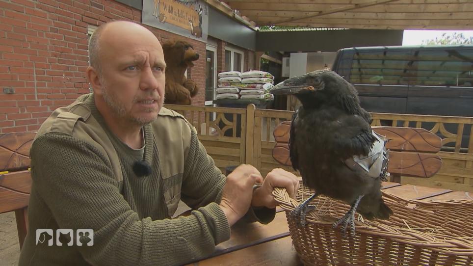Die Wildtierauffangstation hat Zuwachs bekommen Die Wildtierauffangstation hat Zuwachs bekommen