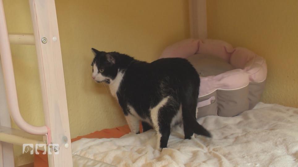 Albert hat das perfekte Zuhause gefunden Albert hat das perfekte Zuhause gefunden