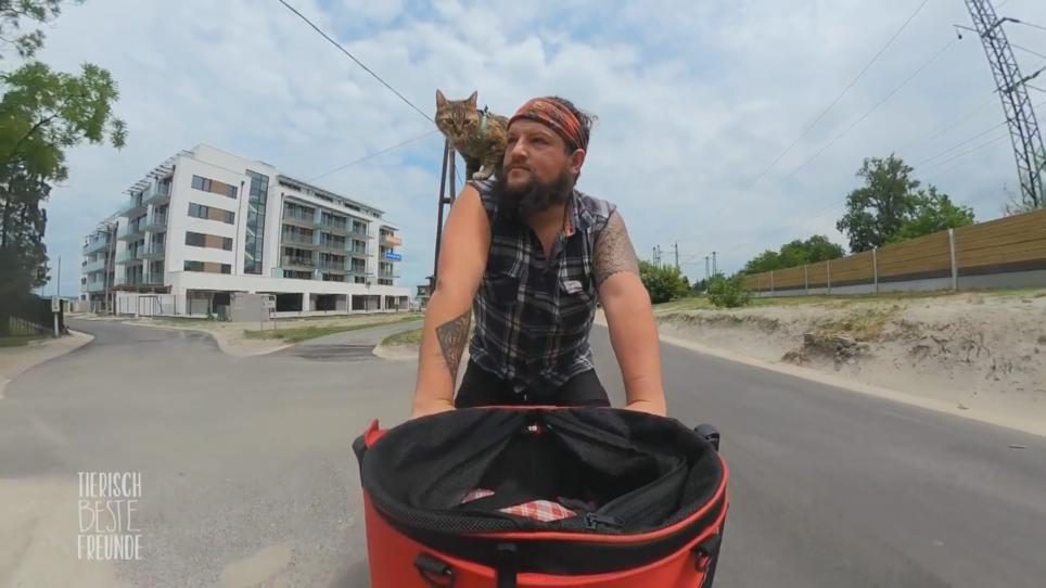 Dean und seine Katze Nala bereisen zusammen die Welt Dean und seine Katze Nala bereisen zusammen die Welt