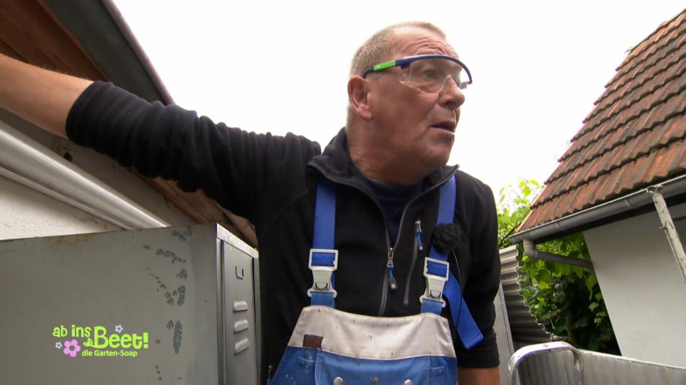 Ralle in Konflikt mit dem "Bundeskleingartengesetz" Ralle in Konflikt mit dem "Bundeskleingartengesetz"
