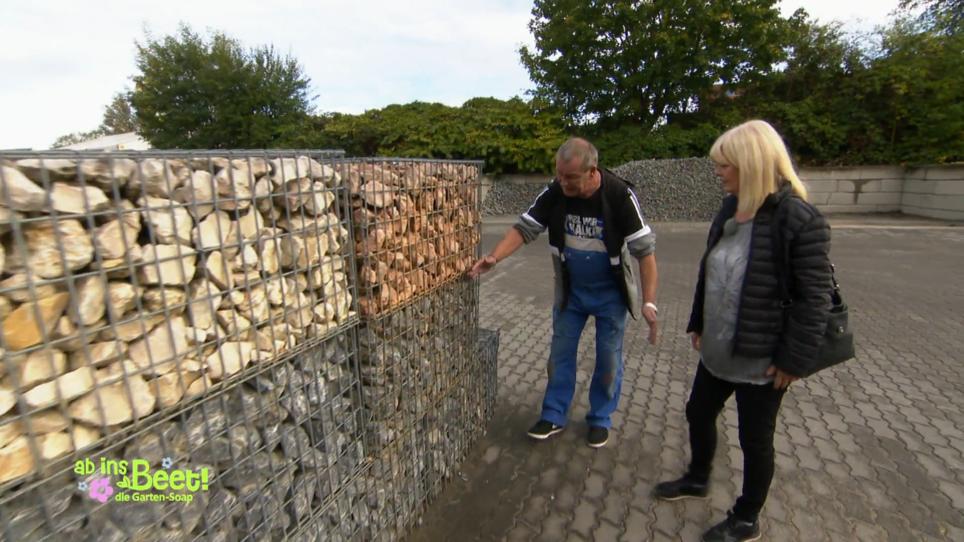 Zechengold für Ralle Zechengold für Ralle