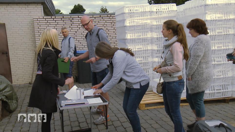 Die Hennen werden direkt weitervermittelt Die Hennen werden direkt weitervermittelt
