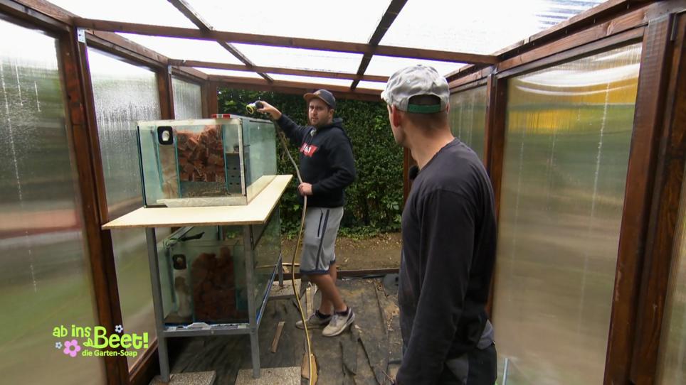 Die Riesen-Aquarien ziehen ins Gewächshaus Die Riesen-Aquarien ziehen ins Gewächshaus