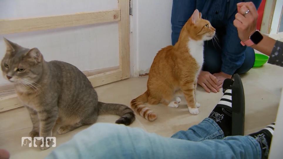 Das erste Treffen nach einem Jahr! Das erste Treffen nach einem Jahr!