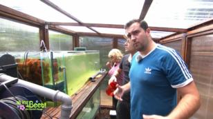 Fischumzug in die Aquaponikanlage Fischumzug in die Aquaponikanlage