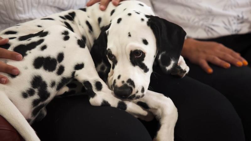 Aidan hat seine Famlie voll im Griff