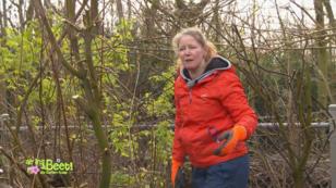 Silke versteht Tobias' Gartenvision nicht Silke versteht Tobias' Gartenvision nicht