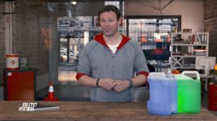 Frühjahrsmythen im Check! Frühjahrsmythen im Check!