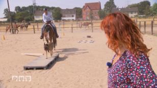 Der Horse & Dog Trail ist eine der schwersten Disziplinen Der Horse & Dog Trail ist eine der schwersten Disziplinen