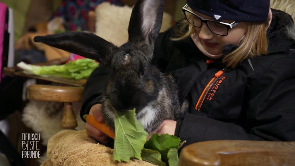 Kinder mit Beeinträchtigungen lernen von den Tieren Kinder mit Beeinträchtigungen lernen von den Tieren