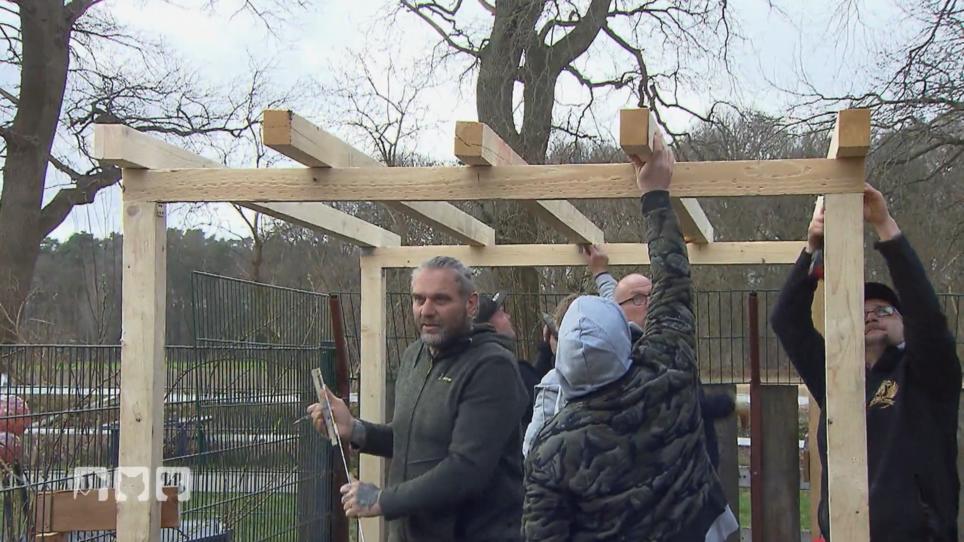 Werden die "Harten Hunde" rechtzeitig fertig? Werden die "Harten Hunde" rechtzeitig fertig?