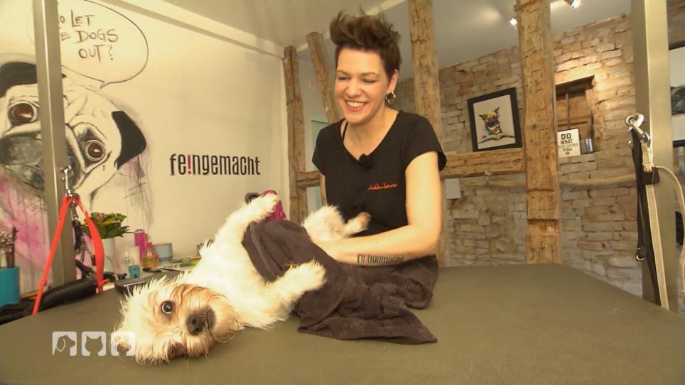 Ozzy und Franzi verstehen sich Ozzy und Franzi verstehen sich