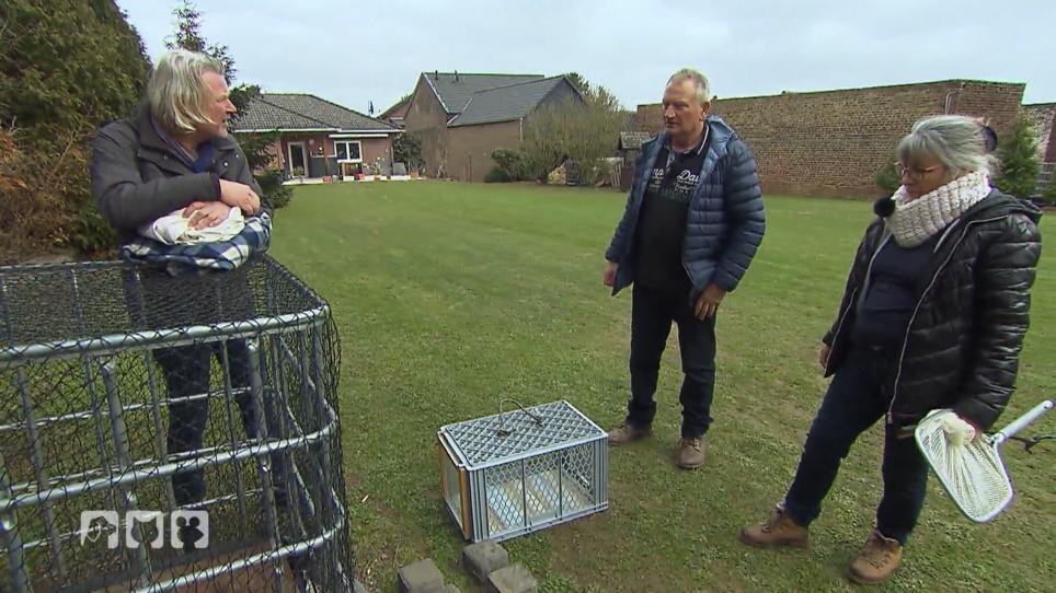 Gelingt es Frank und den anderen, die Jungkatzen zu fangen? Gelingt es Frank und den anderen, die Jungkatzen zu fangen?