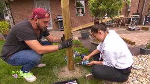Dank Sabrinas Planung nimmt die Pergola Gestalt an Dank Sabrinas Planung nimmt die Pergola Gestalt an