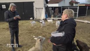 Petfluencer und Ein schwerer Schicksalsschlag Petfluencer und Ein schwerer Schicksalsschlag