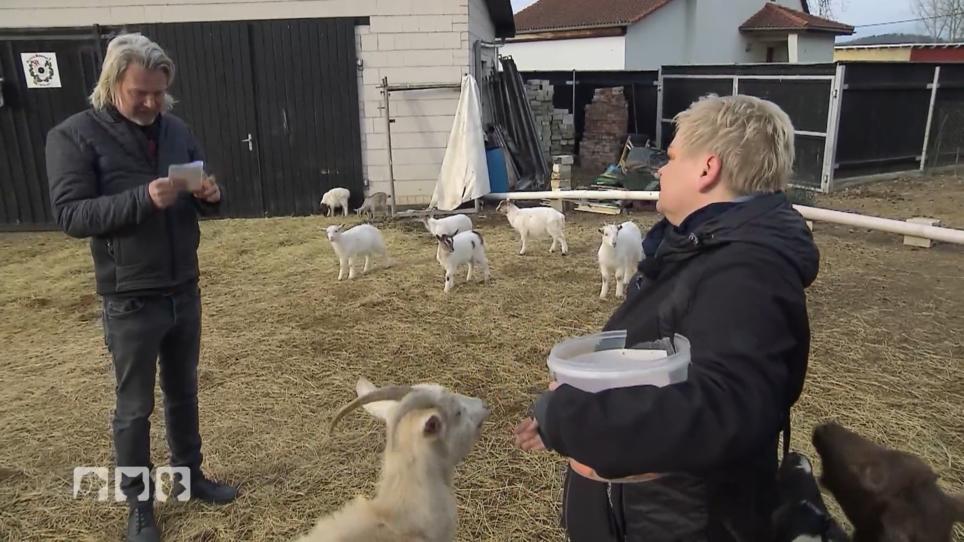Petfluencer und Ein schwerer Schicksalsschlag Petfluencer und Ein schwerer Schicksalsschlag