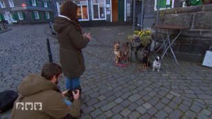 Vom Hobyfotografen zum Petfluencer Vom Hobyfotografen zum Petfluencer