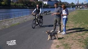 Sabrina Setlurs Joggerschreck Kenzo lernt dazu Sabrina Setlurs Joggerschreck Kenzo lernt dazu