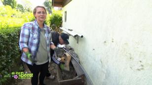 Benny und Marina haben viel vor mit ihrer Laube Benny und Marina haben viel vor mit ihrer Laube