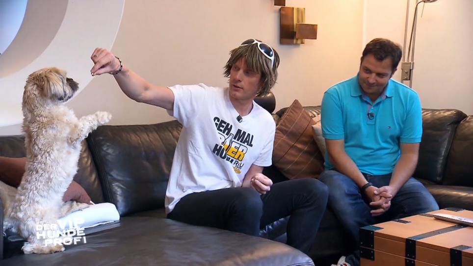 Mickie Krauses Hund Timmy ignoriert sein Herrchen konsequent Mickie Krauses Hund Timmy ignoriert sein Herrchen konsequent