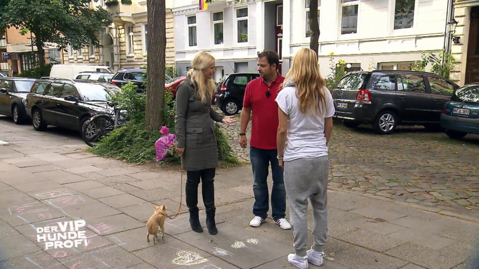 Wo liegt Simbas Problem mit fremden Menschen? Wo liegt Simbas Problem mit fremden Menschen?