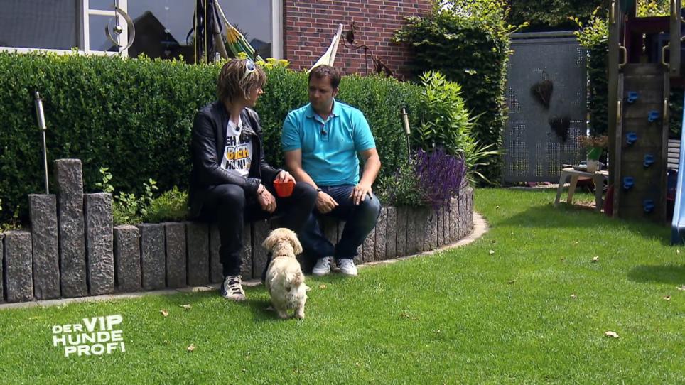„Timmy ist in den Top drei der Dusseligkeit!" „Timmy ist in den Top drei der Dusseligkeit!"