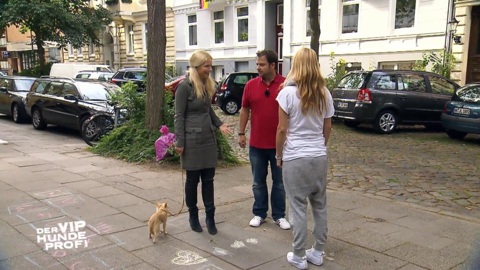 Simba reagiert genervt auf fremde Menschen Simba reagiert genervt auf fremde Menschen
