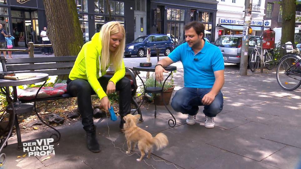 Simba wird draußen auf die Probe gestellt Simba wird draußen auf die Probe gestellt