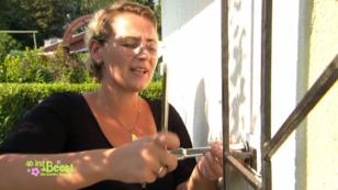 Selbst ist die Frau - allerdings wenig erfolgreich Selbst ist die Frau - allerdings wenig erfolgreich