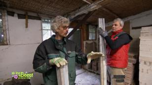 Ralf verteilt seine "Schätze" auf viele Orte Ralf verteilt seine "Schätze" auf viele Orte