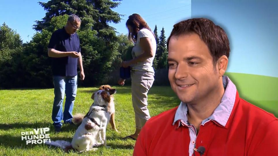 Ulli Potofski ist schon jetzt genervt vom Hundetraining Ulli Potofski ist schon jetzt genervt vom Hundetraining