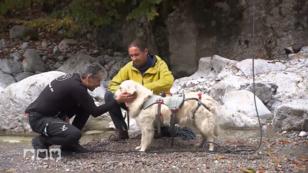 Sicheres Bergwandern mit Hund Sicheres Bergwandern mit Hund