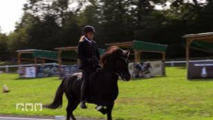 Nicole Rubel und Islandhengst Otur Nicole Rubel und Islandhengst Otur